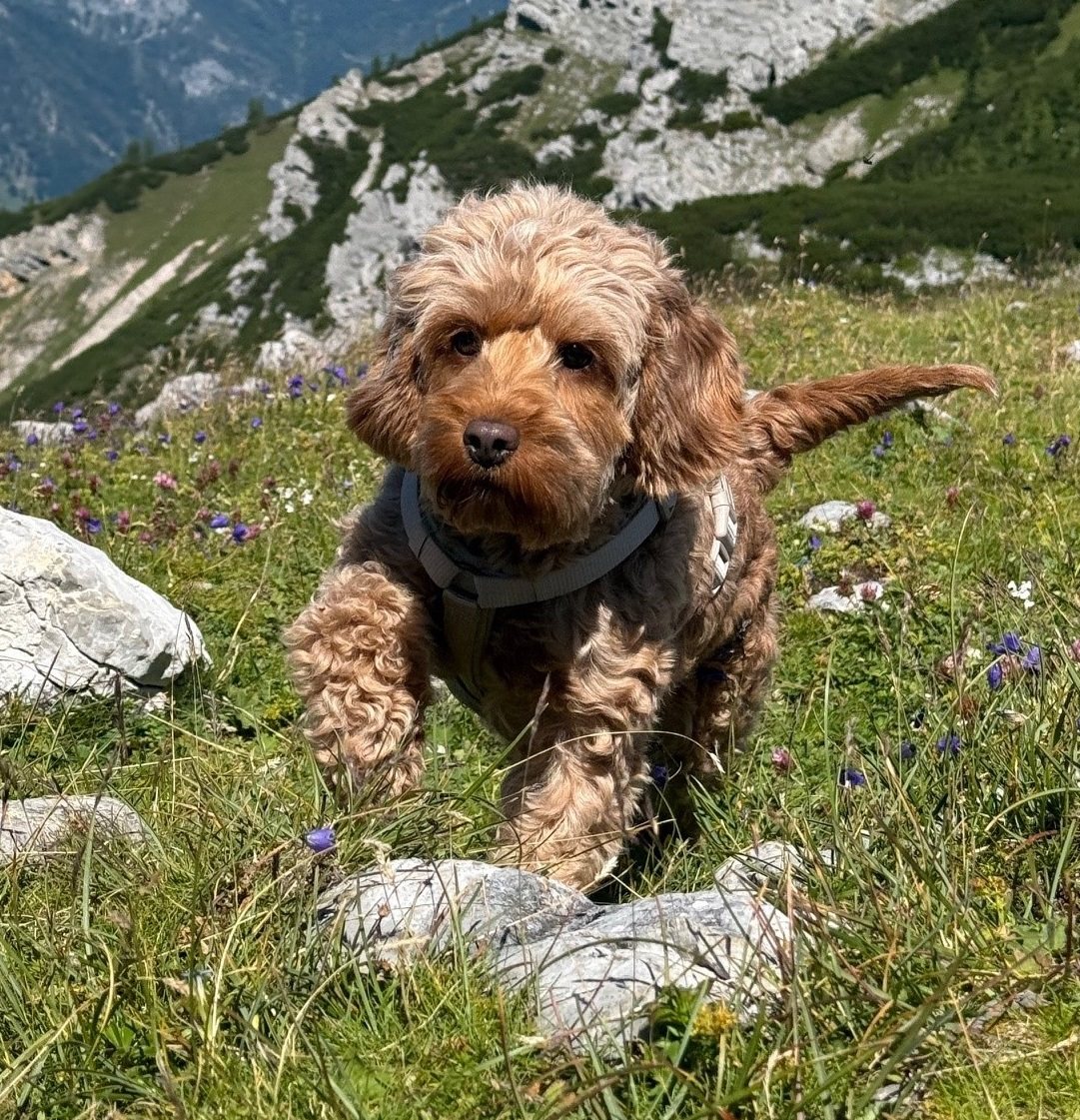 Chloé, Customer Success Manager und Security